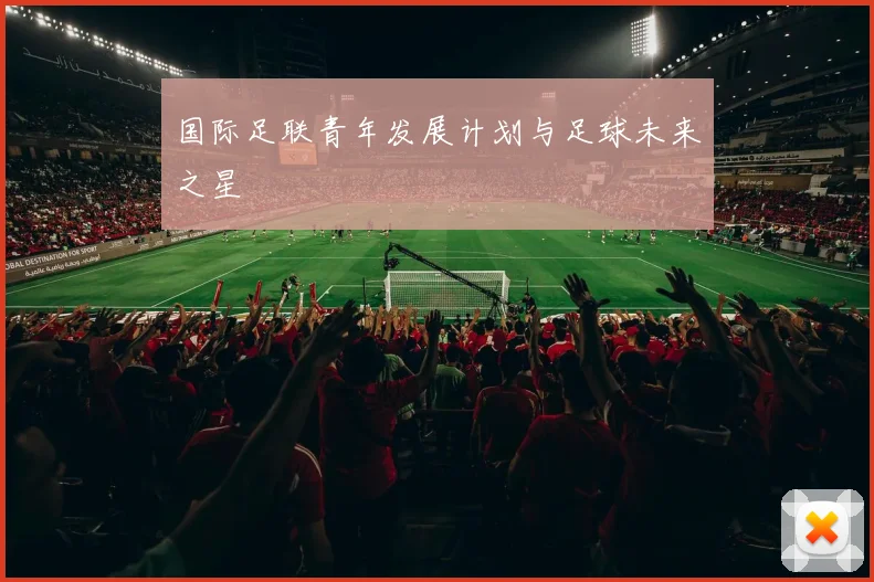 国际足联青年发展计划与足球未来之星